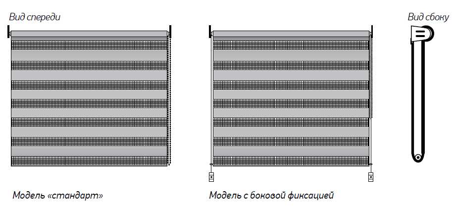 минизебра1.jpg