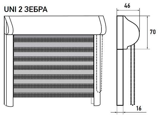 уни2зебра1.jpg